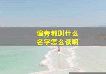 偏旁都叫什么名字怎么读啊