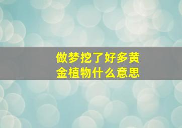 做梦挖了好多黄金植物什么意思