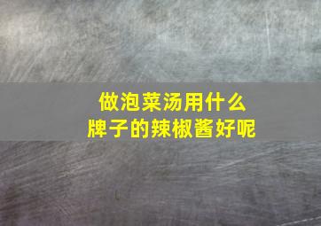 做泡菜汤用什么牌子的辣椒酱好呢