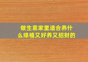 做生意家里适合养什么绿植又好养又招财的