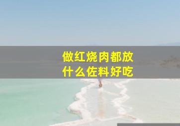 做红烧肉都放什么佐料好吃