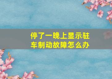 停了一晚上显示驻车制动故障怎么办