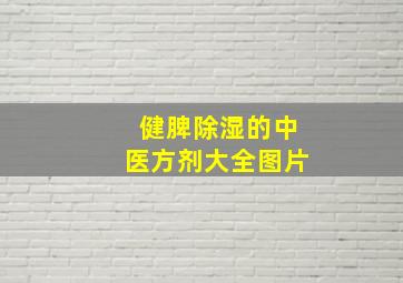 健脾除湿的中医方剂大全图片