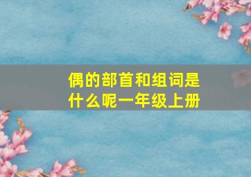 偶的部首和组词是什么呢一年级上册