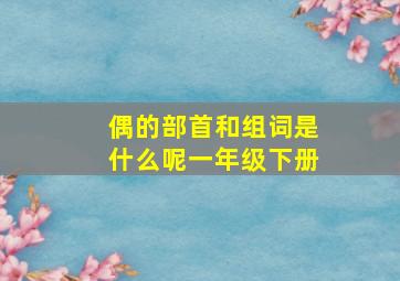 偶的部首和组词是什么呢一年级下册