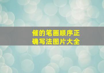 催的笔画顺序正确写法图片大全