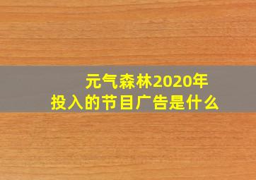 元气森林2020年投入的节目广告是什么