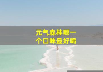 元气森林哪一个口味最好喝