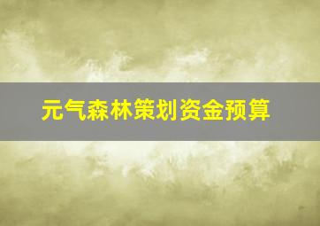 元气森林策划资金预算