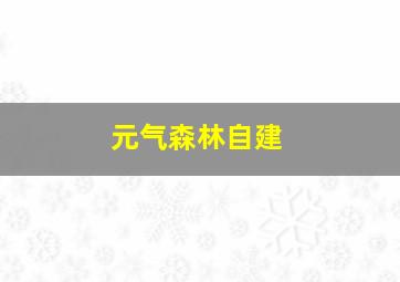 元气森林自建