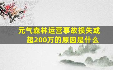 元气森林运营事故损失或超200万的原因是什么