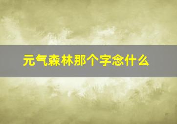 元气森林那个字念什么