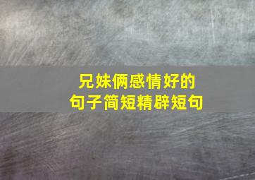 兄妹俩感情好的句子简短精辟短句