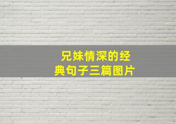 兄妹情深的经典句子三篇图片