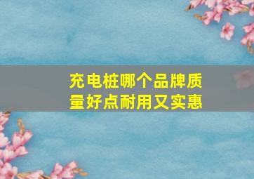 充电桩哪个品牌质量好点耐用又实惠