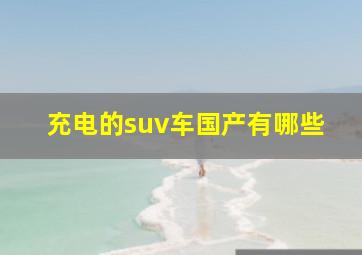 充电的suv车国产有哪些