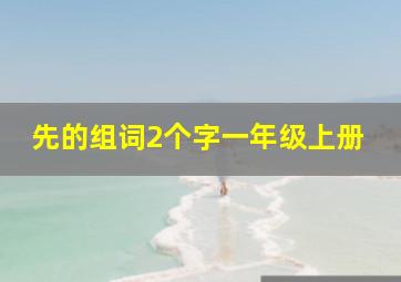 先的组词2个字一年级上册