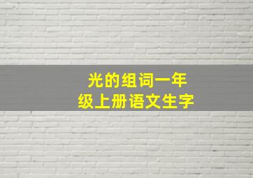 光的组词一年级上册语文生字