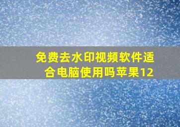 免费去水印视频软件适合电脑使用吗苹果12