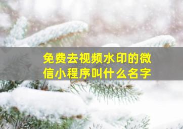 免费去视频水印的微信小程序叫什么名字