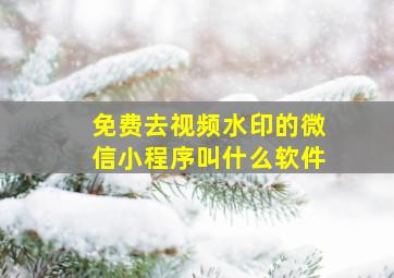 免费去视频水印的微信小程序叫什么软件