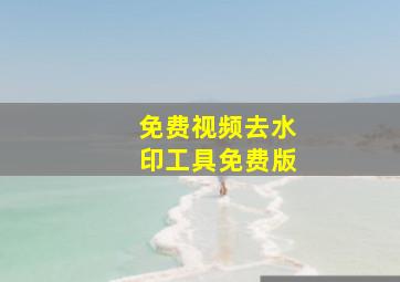 免费视频去水印工具免费版