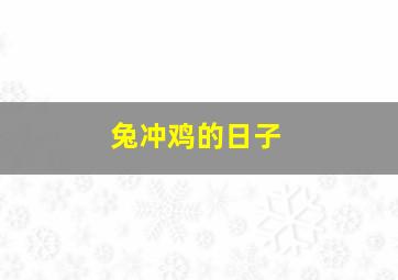 兔冲鸡的日子