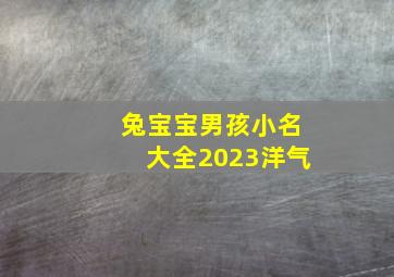 兔宝宝男孩小名大全2023洋气