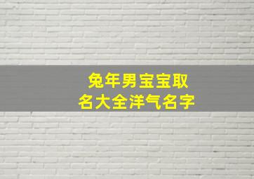 兔年男宝宝取名大全洋气名字