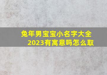 兔年男宝宝小名字大全2023有寓意吗怎么取