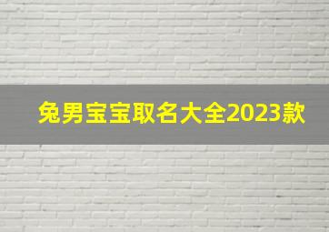 兔男宝宝取名大全2023款