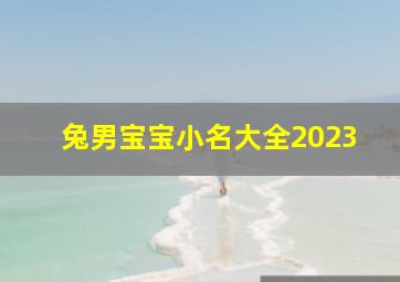 兔男宝宝小名大全2023