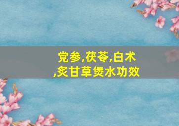 党参,茯苓,白术,炙甘草煲水功效