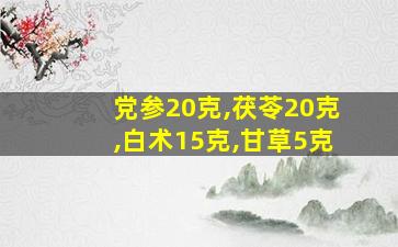 党参20克,茯苓20克,白术15克,甘草5克