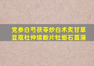 党参白芍茯苓炒白术炙甘草豆蔻杜仲续断片牡蛎石菖蒲