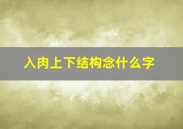 入肉上下结构念什么字