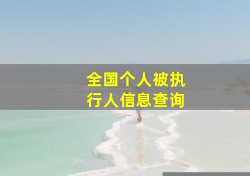 全国个人被执行人信息查询