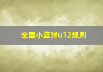 全国小篮球u12规则