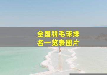 全国羽毛球排名一览表图片