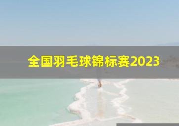 全国羽毛球锦标赛2023