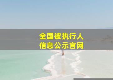 全国被执行人信息公示官网