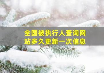 全国被执行人查询网站多久更新一次信息