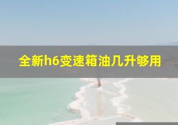 全新h6变速箱油几升够用