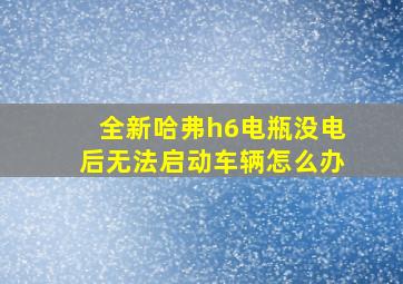 全新哈弗h6电瓶没电后无法启动车辆怎么办