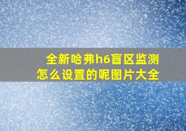 全新哈弗h6盲区监测怎么设置的呢图片大全