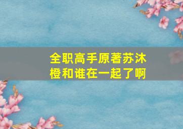 全职高手原著苏沐橙和谁在一起了啊