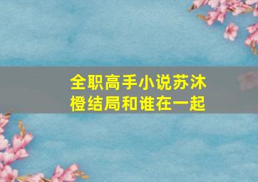 全职高手小说苏沐橙结局和谁在一起