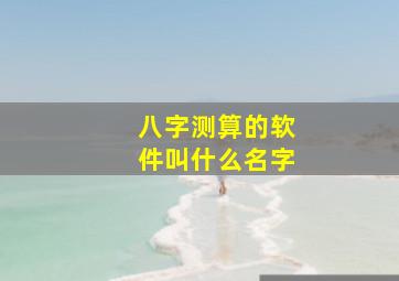 八字测算的软件叫什么名字