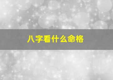 八字看什么命格