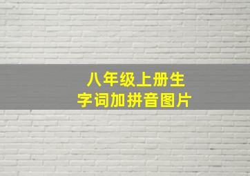 八年级上册生字词加拼音图片